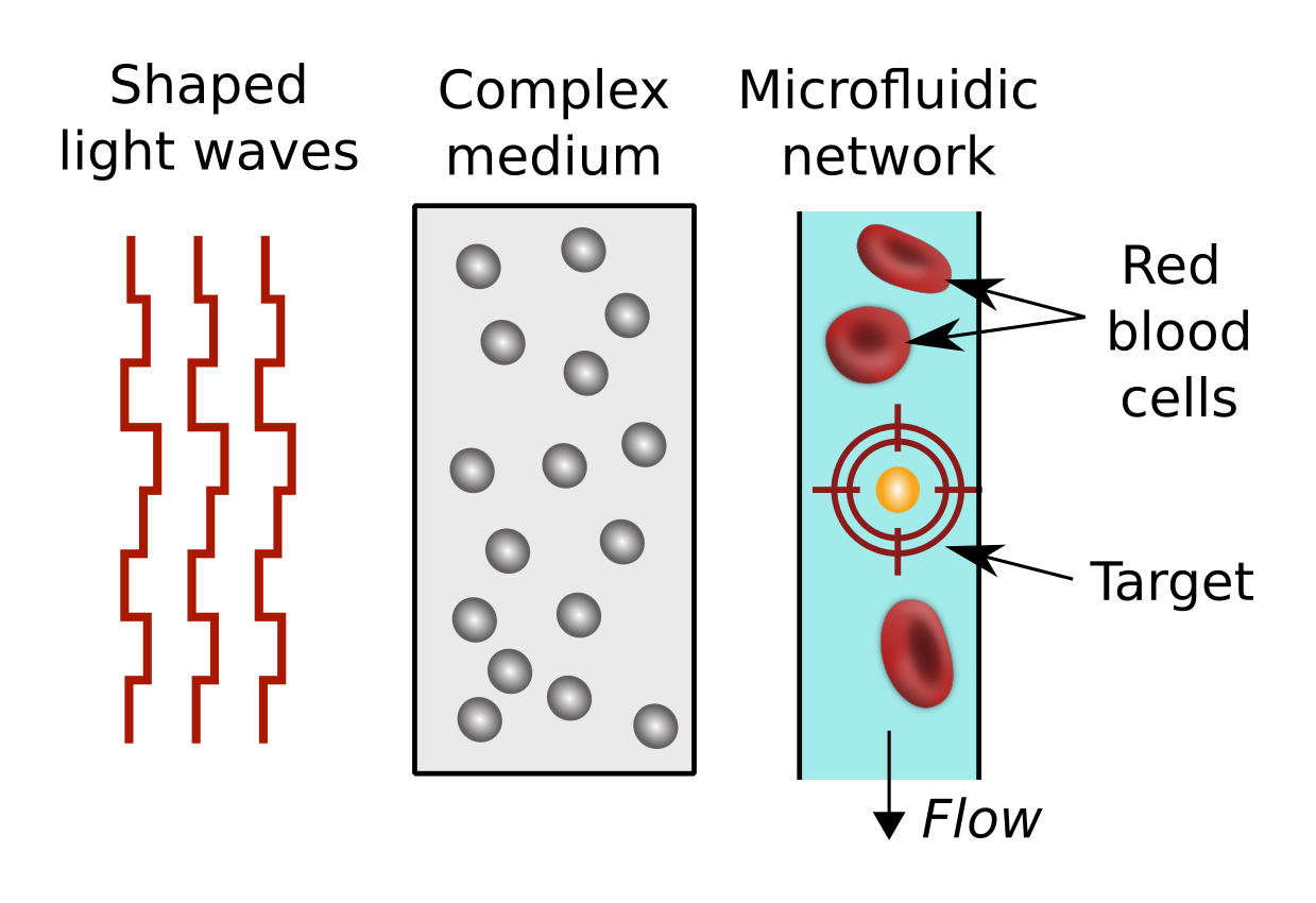 Optimal selective focusing of light on moving targets - Master ...