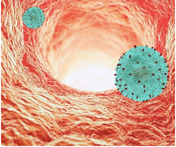 Cell homing