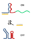 RNA circuits