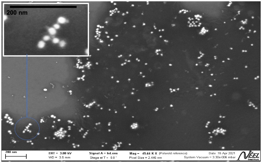 colloidal assemblies2