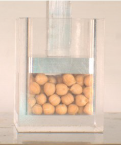 marmottant2