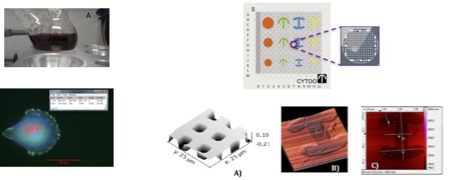 Nanosciences Labwork