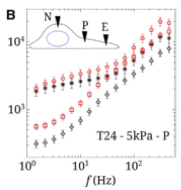 Nanorheology of gels